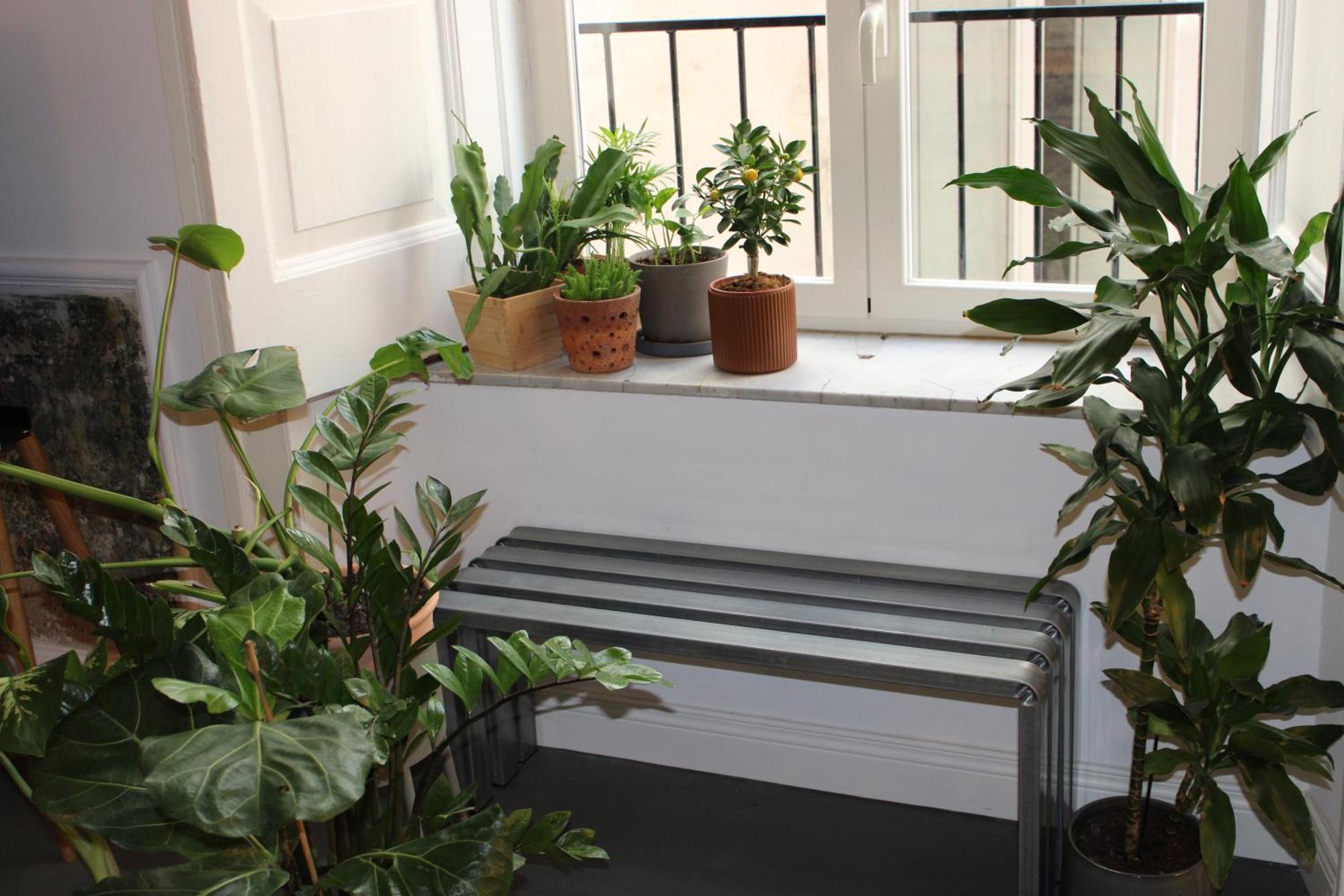 "Leoapartment" - Historic City Center District Napoli Dış mekan fotoğraf
